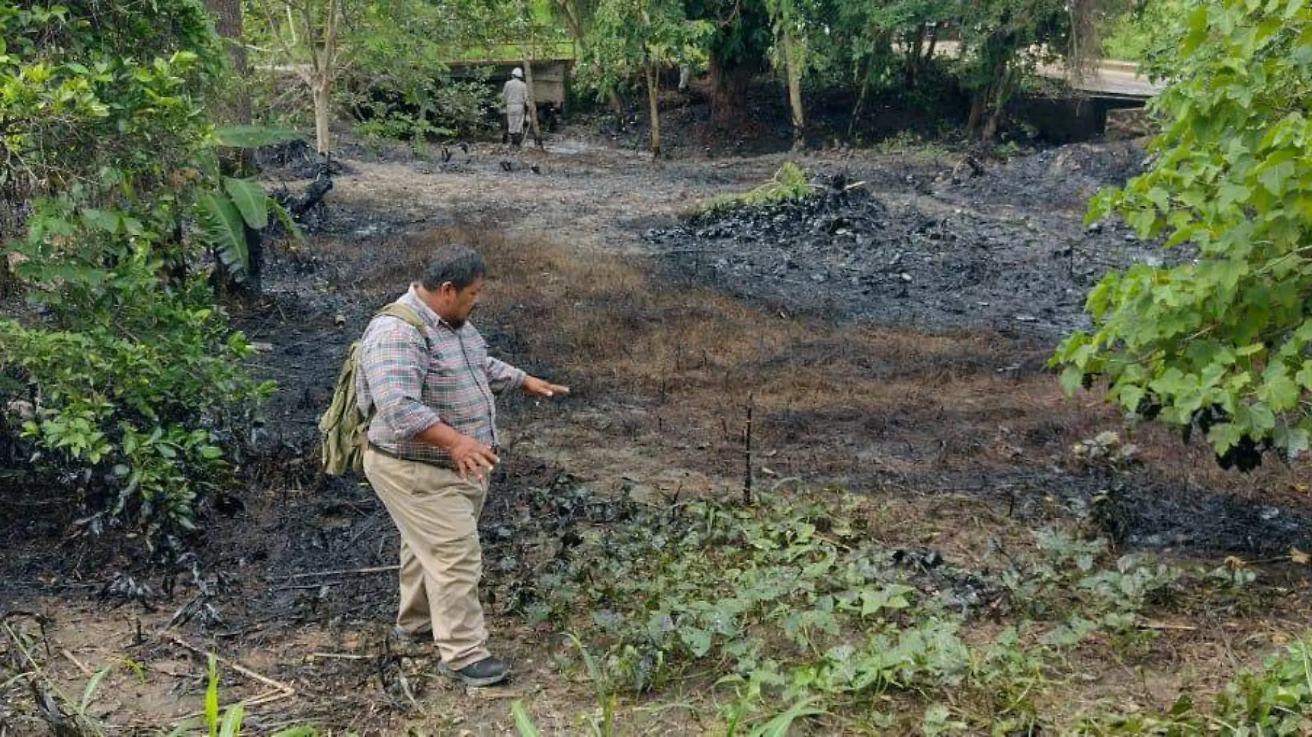 Ecocidio en Papantla tras derrame de hidrocarburo 